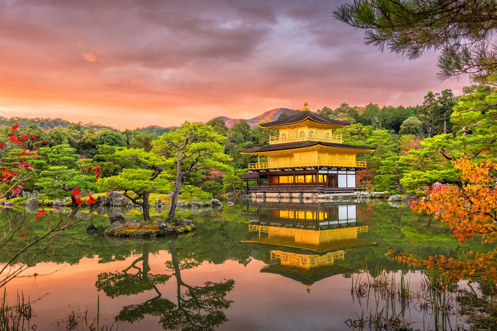 Kinkakuji Temple Japan